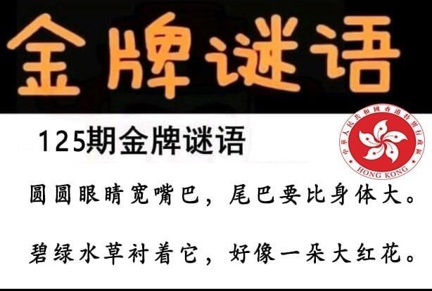 香港金牌谜语